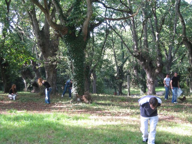 Asturias joven emprenda Ecológico Botánico