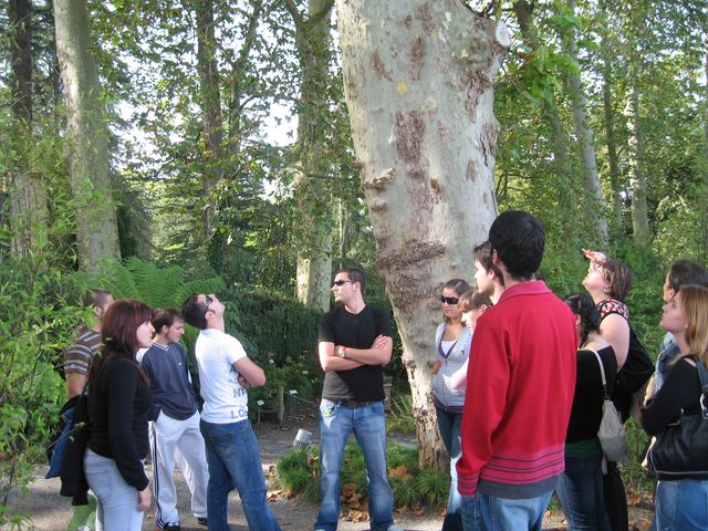 Asturias joven emprenda Ecológico Botánico