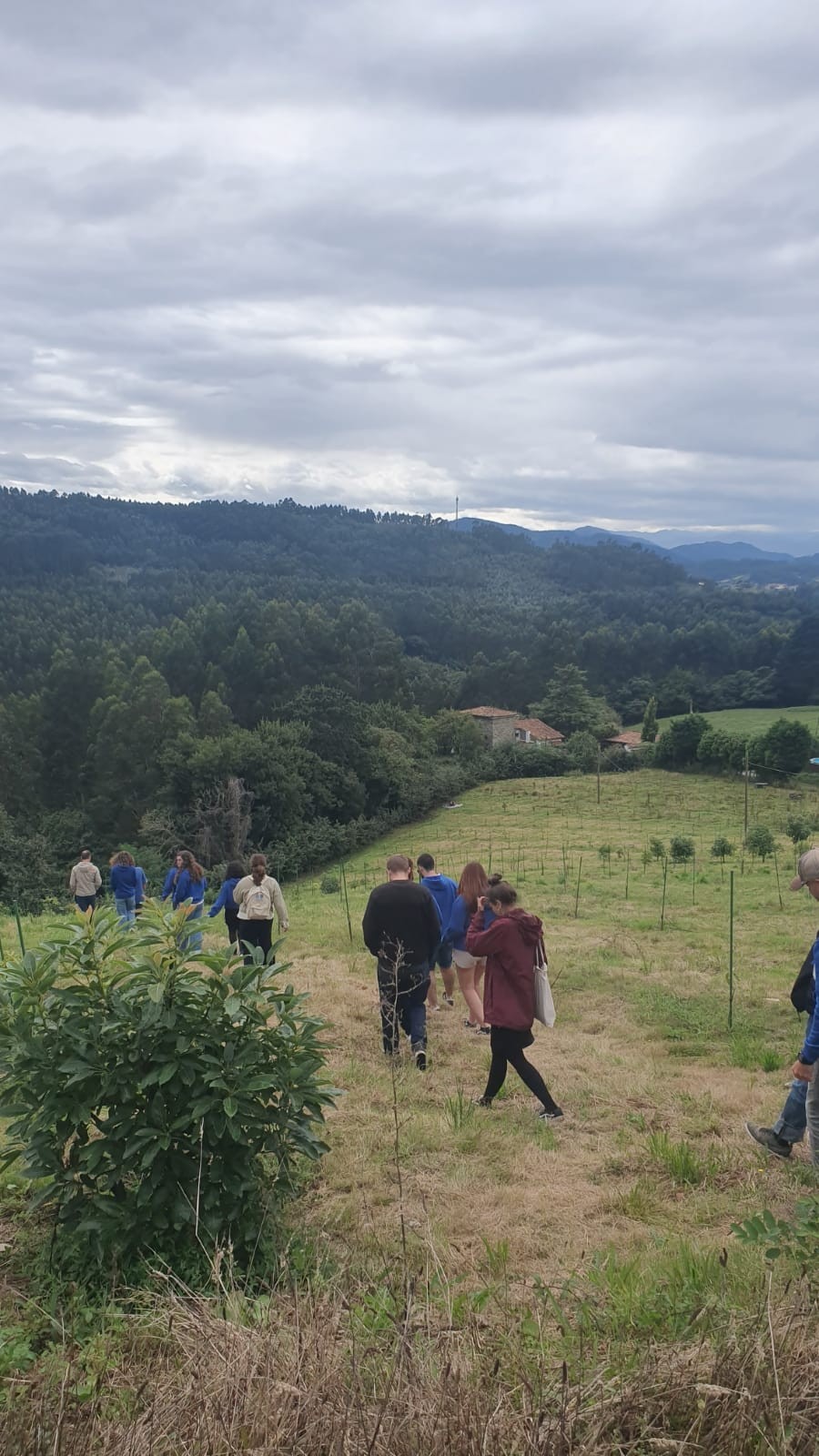 Asturias joven emprenda SOTO Aguacates