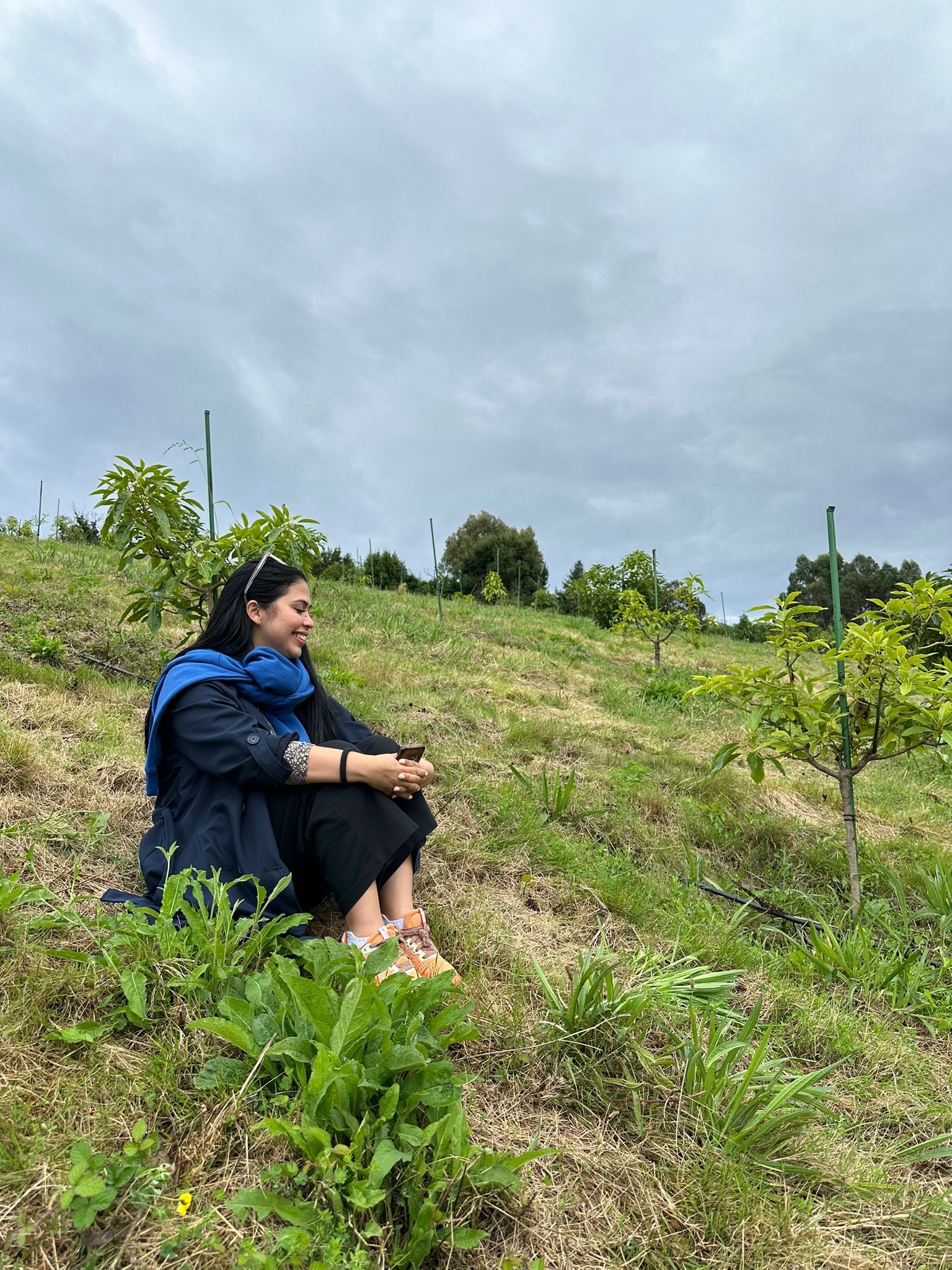 Asturias joven emprenda SOTO Aguacates