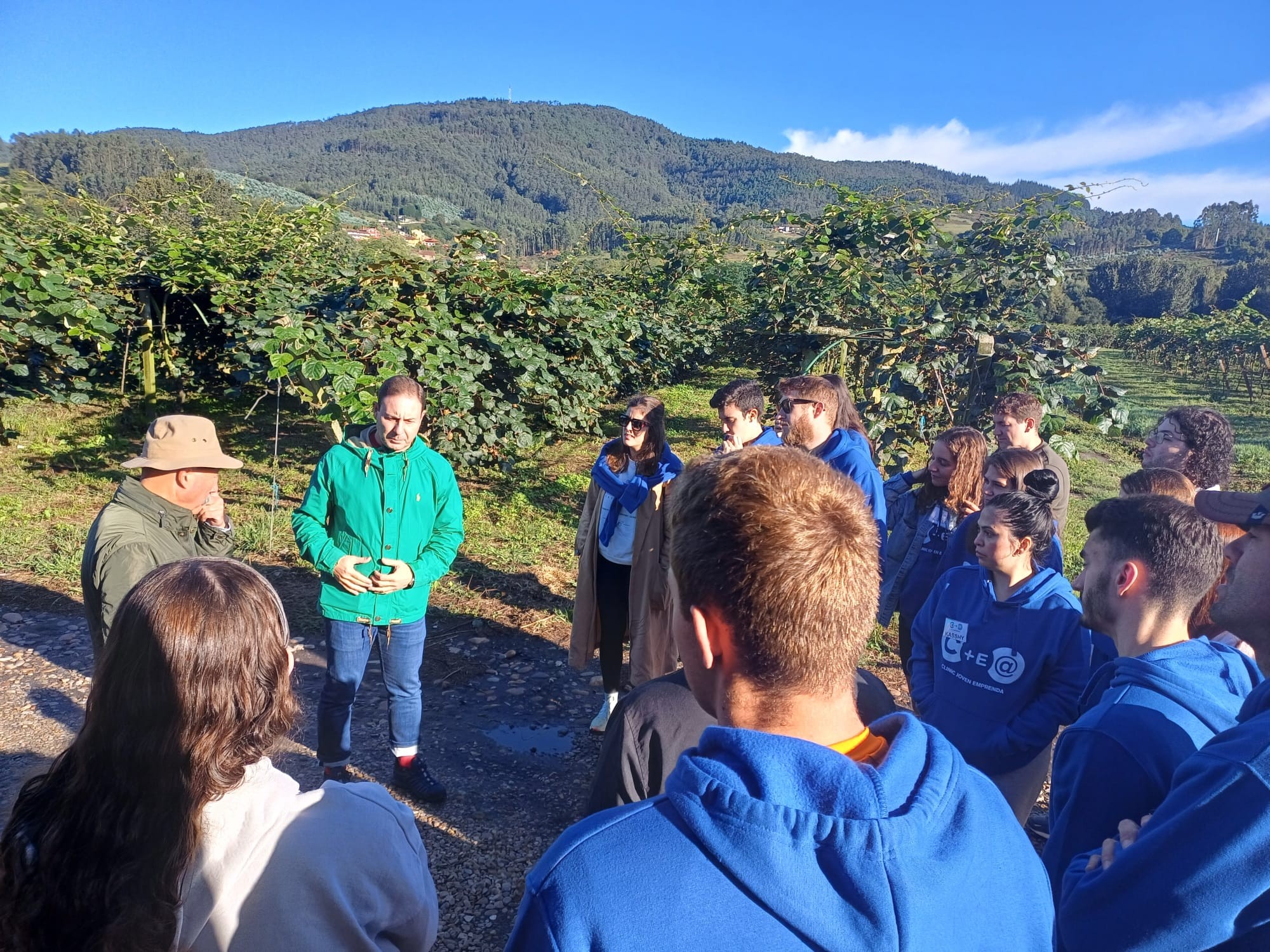 Asturias joven emprenda Plantación Kiwis