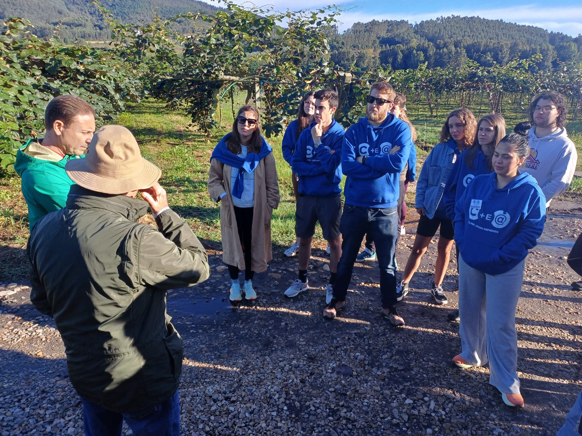 Asturias joven emprenda Plantación Kiwis