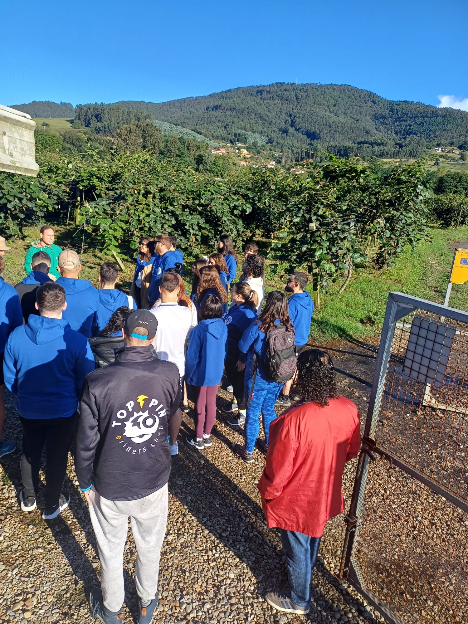 Asturias joven emprenda Plantación Kiwis